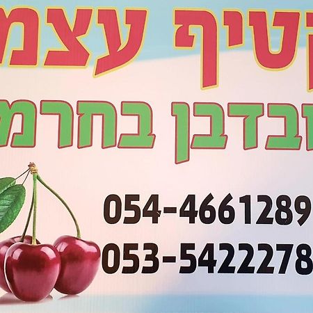 צימרים בגולן דובדבן בחרמון Mas'ada Exterior foto